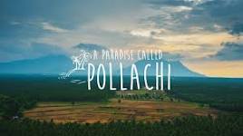One way taxi from Chennai to Pollachi