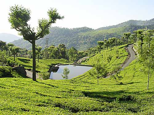 Chennai to kotagiri Taxi